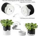Nihow Self Watering Plant Pot: 6 Inch Ceramic Planter with Drainage Hole & Water Storage Plus for Indoor & Outdoor Plants - Cylinder Round Flower Pot for Succulent/Herbs/Violets - Black & Wave White by GreenHaven Gardens