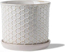 5.8 Inch Plant Pot: Ceramic Planter with Drainage Hole & Saucer - Flowerpot for Indoor & Outdoor Plants with Separate Tray for Home & Office - Honeycomb Design, Cream White by GreenHaven Gardens