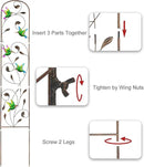 Set of 2 Hummingbird Metal Garden Trellis for Climbing Plants, Decorative Vegetables Flowers Vine Trellis for Outdoor Patio 60'' H x 11'' W by GreenHaven Gardens