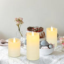 Aignis Indoor Flameless LED Candles Battery Operated with Remote Timer and Wax-Like Shell for Home/Wedding/Holiday Decor, Set of 3(D 2.95" x H 4"/5"/6") by CozyNest Decor