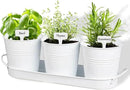 vensovo Indoor Herb Planter Set - Galvanized Windowsill Garden Pots with Tray & Drainage, Set of 3 Metal Window Planters for Kitchen & Outdoor Use, White by GreenHaven Gardens