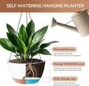 12 Inch Hanging Baskets for Plants Outdoor, Hanging Planters for Indoor Outdoor Plants, Hanging Planter with Self Watering, Hanging Flower Pots (White) by GreenHaven Gardens