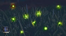 Solar Powered Firefly Lights,18 LED Fairy Automated Pulsating Firefly String Light Waterproof Garden Chasing Suitable for Swimming Pools, Fountain Fish Tanks, and Outdoor Decoration by GreenHaven Gardens