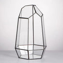 NCYP Geometric Glass Terrarium Planter for Succulent, Small Cacti, Black Irregular Opened Container Pot, Indoor Home Garden Office Tabletop Decor, 6.5" x 5.7" x 9.8" (No Plants, No Door) by CozyNest Decor