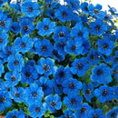 Artificial Fake Hanging Plants Flowers with Basket Outdoor Decor Faux Silk Daisy Flower Arrangements in Pot Planter for Porch Home Indoor Patio Garden Yard Decoration, Blue by GreenHaven Gardens