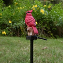 Cardinal Garden Decor Red Bird Figurine Memorial Solar Light Outdoor Stake Patio Yard Art Lawn Ornaments Porch Cute Christmas Decorations Outside Mom Grandma Women by GreenHaven Gardens
