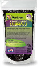 Elephant Ear Plant Potting Soil - Professional Grade Mix for Lush and Healthy Alokasia Plants - 3 Quart by GreenHaven Gardens