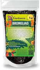 Premium Bromeliad Potting Mix - Nourish Your Bromeliads for Vibrant Growth and Stunning Colors - 1 Quart by GreenHaven Gardens