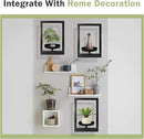 Picture Frame Plant Holder, Window Planter Hanger Shelves,Wall Mount Plants shelf Indoor Outdoor, Metal Hanging Planters Stand Decor,Modern Floating Ornament Rack Art for Home & Garden (Black 3pc) by GreenHaven Gardens