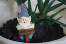 MUAMAX Miniature Gnome Figurines Fairy Gardens Gnomes Accessories Gift for Garden Little Gnomes Small Gnome 3'' by GreenHaven Gardens