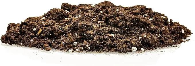 Premium Dracaena Potting Soil Mix - (20 Quart Bag), photo 4 of 5