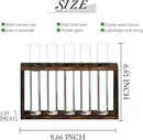 XXXFLOWER Wall Hanging Terrarium Planter with 5 Test Tubes,Wall Planters for Indoor Plants,Plant Lover Gifts for Women Garden Office Decoration by GreenHaven Gardens
