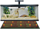 iPower 10" x 20" Warm Hydroponic Seedling Heat Mat and Digital Thermostat Control Combo Set for Seed Germination, Black by GreenHaven Gardens