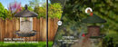 Pack of 2 Bird Feeder for Backyard Birds. Bronze by CozyNest Decor