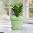 6 inch Plastic Nursery Pots, 16 Pack Plant Pots for Small Indoor Outdoor Plants, Flower Pots with Drainage Holes and Saucers, Decorative Seeding Starter Planters for Houseplants, Green by GreenHaven Gardens