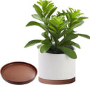 Ceramic Plant Saucer Pot Tray 12 Inch, Planter Saucers 4 5 6 7 8 9 10 11 12 13 Inch for Indoors Outdoor, Durable Sturdy Flower Drainage drip Water Tray for Glazed Pots Base (12.7 Inch-Brown) by GreenHaven Gardens