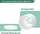 D'vine Dev 18 Pack 2.5 Inch Mini Plastic Plant Pots, Small Garden Planters for Plant with Drainage Holes and Saucers, White Color, 74-Z-B-5 by GreenHaven Gardens