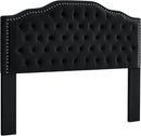 24KF Upholstered Button Tufted Queen Size Full Size Headboard with Nailhead Trim, Soft Velvet Fabric Headboard Queen/Full Size Headboad-Black by CozyNest Decor