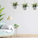 Macrame Plant Hanger Indoor, 2 Pack Boho Decor Hanging Plant Holder Hanging Planters for Indoor Plants Window Plant Hanger Flower Pot Hanging Basket with Wood Beads and Metal Hook Rings Ivory 20 Inch by GreenHaven Gardens