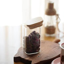 Glass Food Storage Jars Square 8oz, 12 Pack Glass Jars With Bamboo Lids, Kitchen Storage Containers For Spice, Candy, Cookie, Storage For Pantry Organizers by CozyNest Decor
