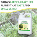 Organic All-Purpose Liquid Plant Food - Use on All Outdoor Plants: Flower Beds, Vegetable Gardens, Container Gardening | Concentrated Liquid Fertilizer Alternative (32oz, 2 Pack, Mixes to 64 Gallons) by GreenHaven Gardens