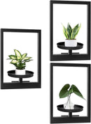 Picture Frame Plant Holder, Window Planter Hanger Shelves,Wall Mount Plants shelf Indoor Outdoor, Metal Hanging Planters Stand Decor,Modern Floating Ornament Rack Art for Home & Garden (Black 3pc) by GreenHaven Gardens