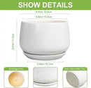 G EPGardening Ceramic Pots for Plants - 6 Inch Planter for Indoor Plants, Flower Pots with Drainage and Ceramic Tray, Modern Office Decor, Gifts for Plant Lovers, White by GreenHaven Gardens