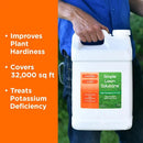 Simple Lawn Solutions - High Potassium Lawn Food Liquid Fertilizer 0-0-25 - Concentrated Spray - Turf Grass Vigor and Plant Hardiness - Summer and Fall - Any Grass Type (2.5 Gallon) by GreenHaven Gardens