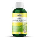 Organic Premium Kelp Seaweed Fertilizer for Lucky Bamboo - Liquid Plant Food - Soil Enhancer - Natural Plant Food (8 OZ) by GreenHaven Gardens