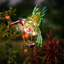 dreamysoul Outdoor Solar Garden Lights, Metal Hummingbird Garden Stake Lights for Outdoor Garden Patio Yard Pathway by GreenHaven Gardens
