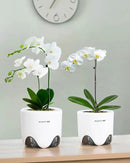 5 inch Orchid Pots with Holes for Repotting with Excellent Airflow, Set of 3, Double Layer Plastic Imitate Ceramic Orchid Planter, Clear Orchid Pot Match Decorative Orchid Container by GreenHaven Gardens