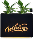 Metal LED Planter Box Rectangular Block - Galvanized Steel Long Planters Box with Solar Light Outdoor All-Weather Use with Drainage Holes for Cafe Bar Mall Store Patio/Porch/Entrance, 35.5×24×12IN by GreenHaven Gardens