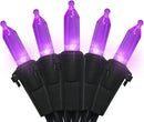 MULTI-SPARKING Purple LED Halloween Lights - 100 Count Purple Christmas String Lights for Tree, Party, Holiday, Indoor and Outdoor Halloween Decorations, 33 Feet Black Wire, UL Certified, Connectable by GreenHaven Gardens