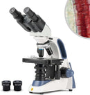 SWIFT SW380B 40X-2500X Magnification, Siedentopf Head, Research-Grade Binocular Compound Lab Microscope with Wide-Field 10X and 25X Eyepieces, Mechanical Stage, Ultra-Precise Focusing by TinyTreasures Baby Boutique