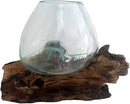 Hand Blown Molten Glass & Teak Wood Terrarium/Vase/Fish Bowl - Premium Quality (7" - 9" High) by CozyNest Decor