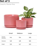Ton Sin Plant Pots, 4.1+5.1+6.5 inch, Set of 3, Ceramic Planters with Drainage Hole and Saucer, Indoor Flower Pot with Hole Mesh Pad, Gifts for Mom(Matte Orange) by GreenHaven Gardens
