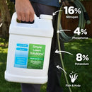Advanced 16-4-8 Lawn Fertilizer - Liquid Lawn Food Spring & Summer Concentrated Spray - Any Grass Type- Fish and Seaweed Kelp- Balanced NPK - Simple Lawn Solutions (2.5 Gallons) by GreenHaven Gardens