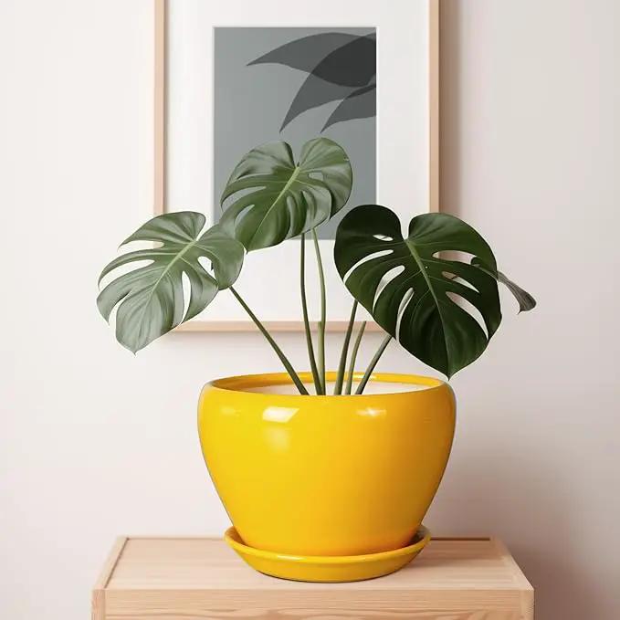 Ceramic Planter - 10 Inch Plant Pot for Indoor Outdoor Plants Glaze Modern Round Planter with Drainage Hole and Saucer for Garden Office Home Room Patio Decor, Yellow, photo 7 of 7