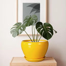 Ceramic Planter - 10 Inch Plant Pot for Indoor Outdoor Plants Glaze Modern Round Planter with Drainage Hole and Saucer for Garden Office Home Room Patio Decor, Yellow by GreenHaven Gardens