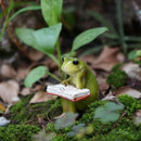 Miniature Small Frog Reading Book,Rabbit Reading Book with Bird， Animal Figurines Fairy Garden Supplies Terrarium Accessories DIY Miniature Garden (Miniature Small Frog Reading Book) by GreenHaven Gardens