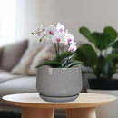 G EPGardening Modern Ceramic Planter - 7 Inch Round Modern Plant Pot Indoor with Drainage and Ceramic Tray Indoor Outdoor for Flower, Vanity Decor, Birthday Gifts, Grey by GreenHaven Gardens