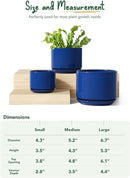 LE TAUCI Ceramic Plant Pots, 4.3+5.3+6.8 inch, Set of 3, Planters with Drainage Hole and Saucer, Indoor Flower Pot with Hole Mesh Pad, Gifts for Mom, Sapphire Blue by GreenHaven Gardens