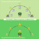 Smart LED Grow Light Bulbs with Remote Controller, Sun Simulation Mode, Built-in Auto Timer, A21/A70 E26/E27 9W Dimmable Full Spectrum Intelligent Plant Grow Bulbs for Indoor Plants, 4 Pack by GreenHaven Gardens