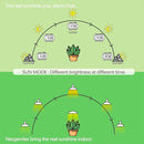 Smart LED Grow Light Bulbs with Remote Controller, Sun Simulation Mode, Built-in Auto Timer, A21/A70 E26/E27 9W Dimmable Full Spectrum Intelligent Plant Grow Bulbs for Indoor Plants, 6 Pack by GreenHaven Gardens