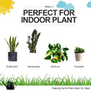 WhaleLife Indoor Watering Can for House Bonsai Plants (1.4L, Black) by GreenHaven Gardens