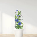 ARIFARO 24'' Metal Garden Trellis for Climbing Plants, Indoor/Outdoor Sturdy Plant Trellis for Potted Plants,House Plants, Climbing Vines, Pack of 4, Black by GreenHaven Gardens