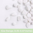 SIDONG 10 LB White River Rocks, 0.3-0.5 Inches Matte Pebbles for Indoor Plants, Aquarium Rocks Used in Fish Tank, Decorative Stones for Plants, Vases, Home Décor, Crafting, Garden Landscaping by GreenHaven Gardens