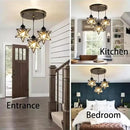 Glass Glam Chandelier Star Pendants Light Fixture Modern Elegant Ceiling Hanging Lights Included LED Warm Light Bulbs Oiled Bronze by CozyNest Decor