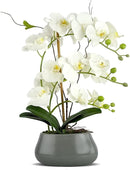 White Orchid Artificial Flowers with Gray Vase Large Silk Faux Phalaenopsis Flowers for Dining Room Table Floral Centerpieces Indoor Decoration by CozyNest Decor