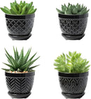 Sureasy Succulent Pots, 3.5 Inch Flower Pots for Indoor Plants, Small Plant Pots with Saucer & Drainage, Decorative Ceramic Planters for Succulent, Cactus, Set of 4, Black by GreenHaven Gardens